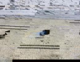 Датчик давления масла для VW Passat CC (2008-)  запчасти бу