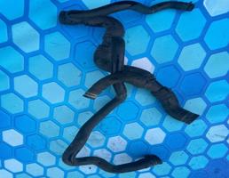 Патрубок охлаждения для VW Passat B6 (2005-2010)  запчасти бу