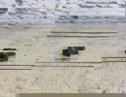 Датчик температуры охлаждающей жидкости для VW Passat CC (2008-)  запчасти бу