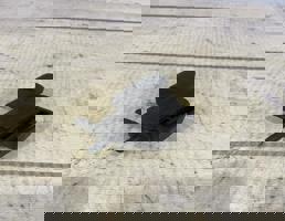 Клапан электромагнитный для VW Passat CC (2008-)  запчасти бу