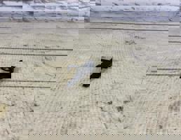 Датчик температуры для VW Passat CC (2008-)  запчасти бу