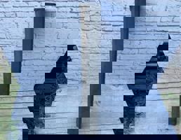 Молдинг двери передний правый нижний для VW Passat B5+ (2001-2005)  запчасти бу