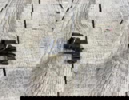 Муфта быстродействующая для Audi A3 III / 8V (2013-2016)  запчасти бу